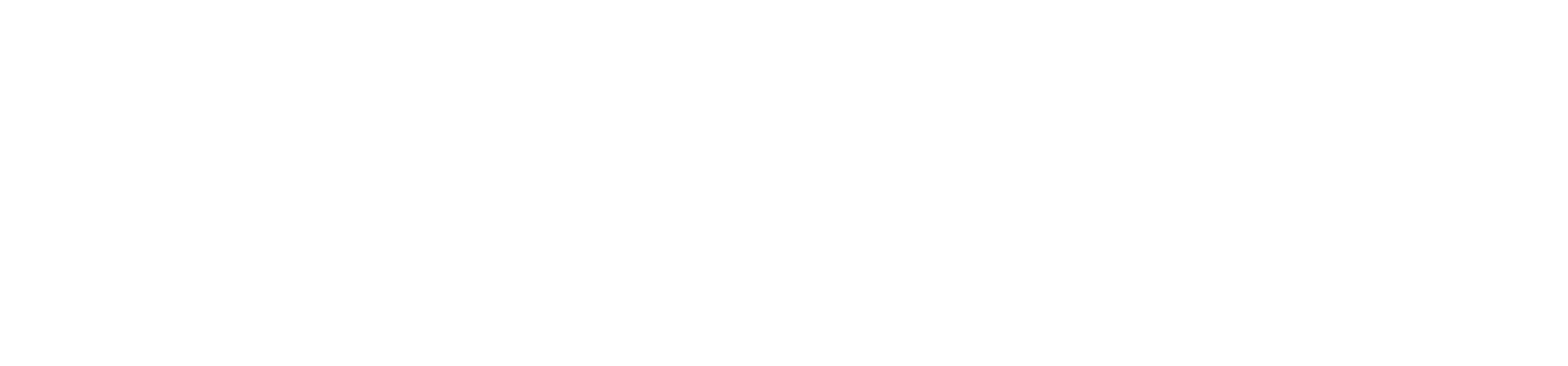 Pocus